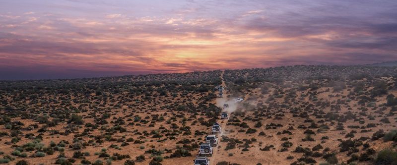 The sun setting behind an acacia tree on the African savanna