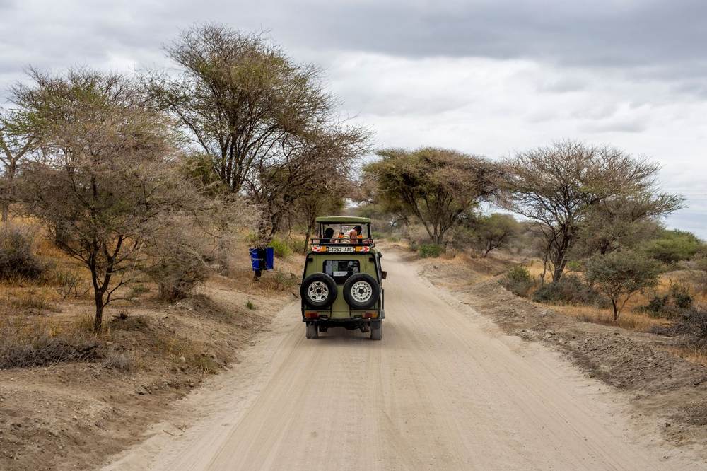 A vehicle travelling a dusty road through acacia bush towards a remote site
